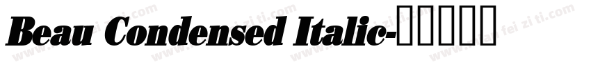 Beau Condensed Italic字体转换